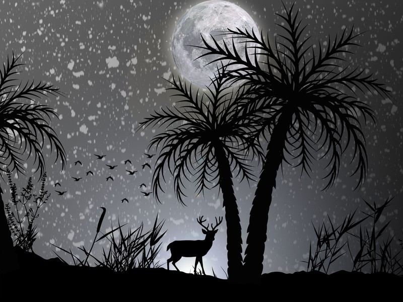 reindeer, deer, dark, moon, minimalism, minimalist, hd, monochrome, black and white, 4k