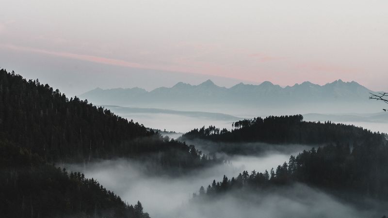 mountains, fog, aerial view, forest, dusk, 4k