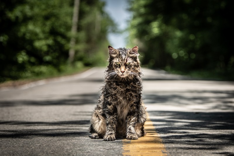 pet sematary, 2019 movies, movies, hd, 4k, 5k