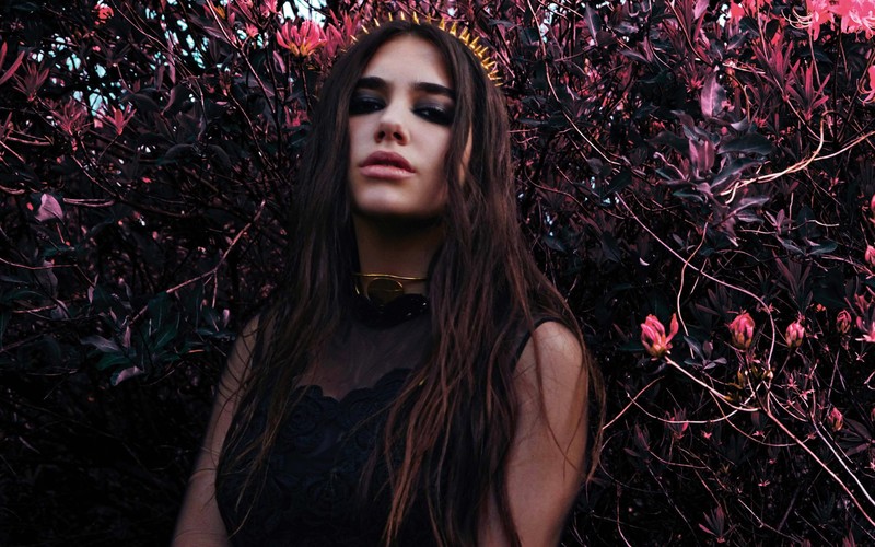 dua lipa, music, celebrities, girls, hd
