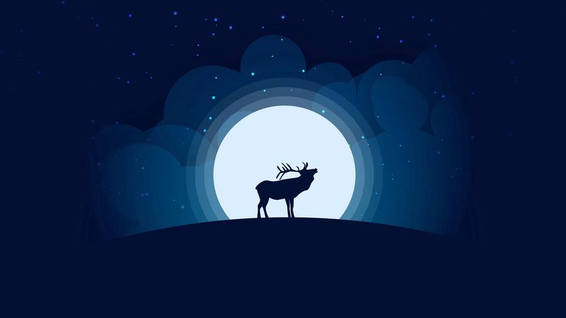 deer, moon, night, dark, art, 4k