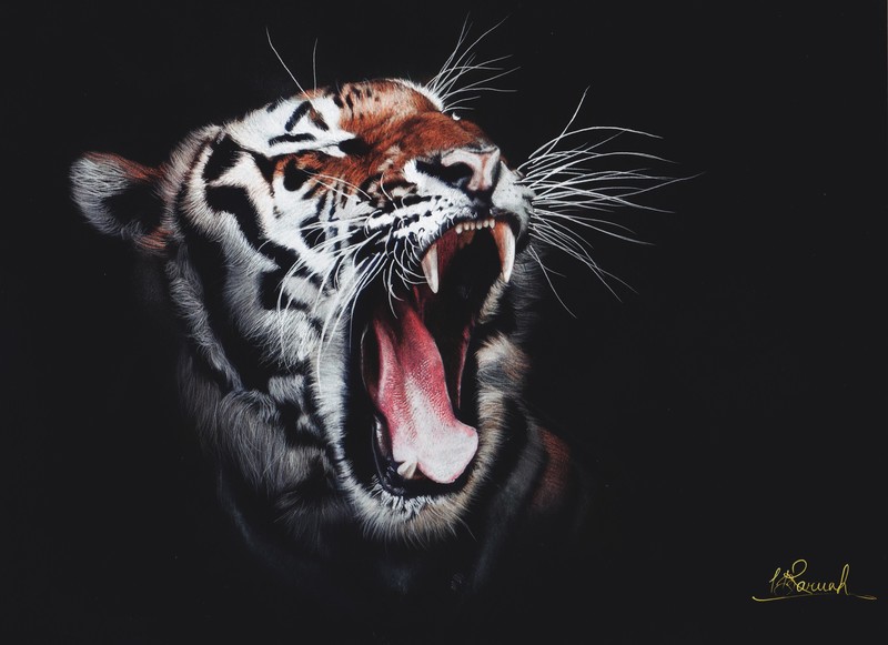 tiger, roar, artwork, hd, 4k, digital art, superheroes, art, animals