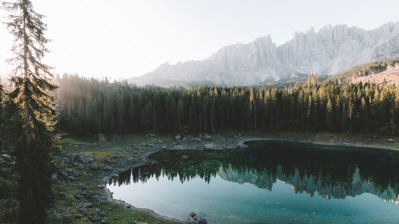 lake, forest, mountains, shore, landscape, 4k