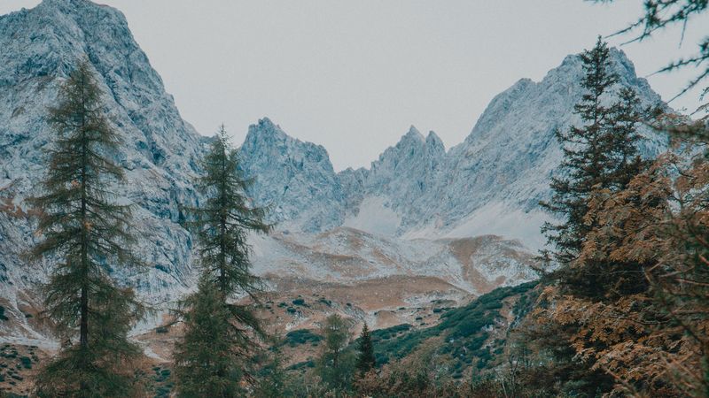 mountains, trees, landscape, river, stream, 4k