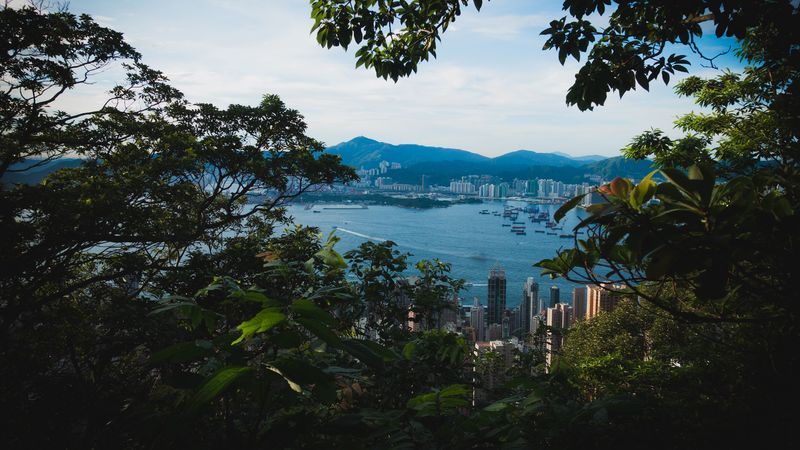 city, buildings, mountains, water, branches, 4k