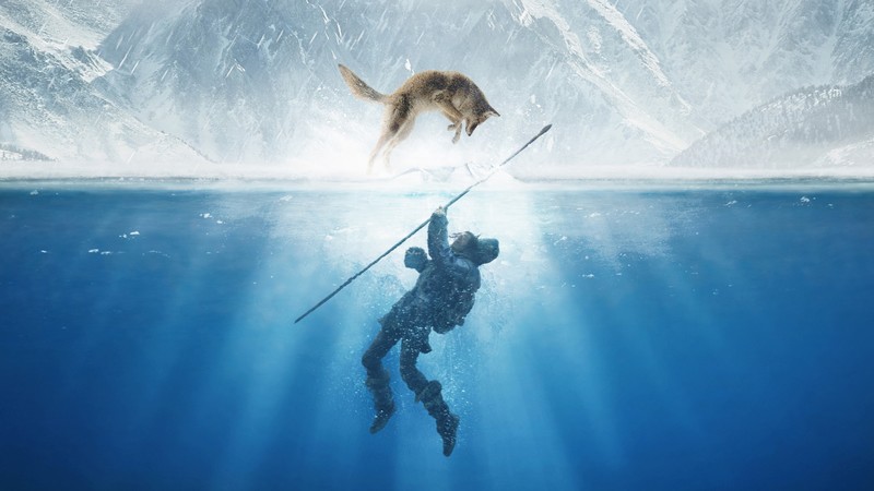 alpha movie, 2018 movies, movies, hd, 4k, poster