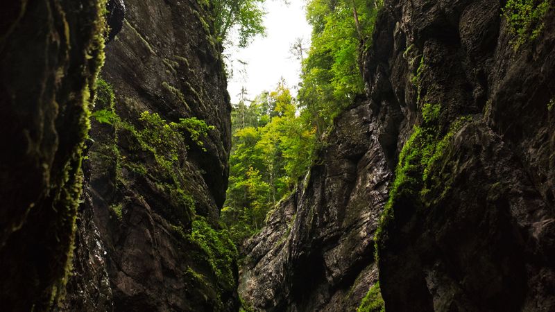 gorge, rocks, trees, mountains, nature, 4k