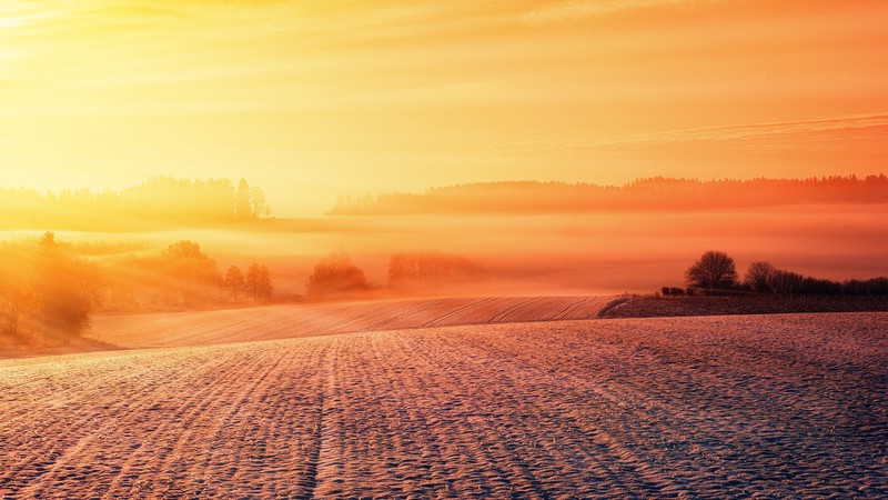 dusk, dawn, evening, nature, hd, 4k, 5k