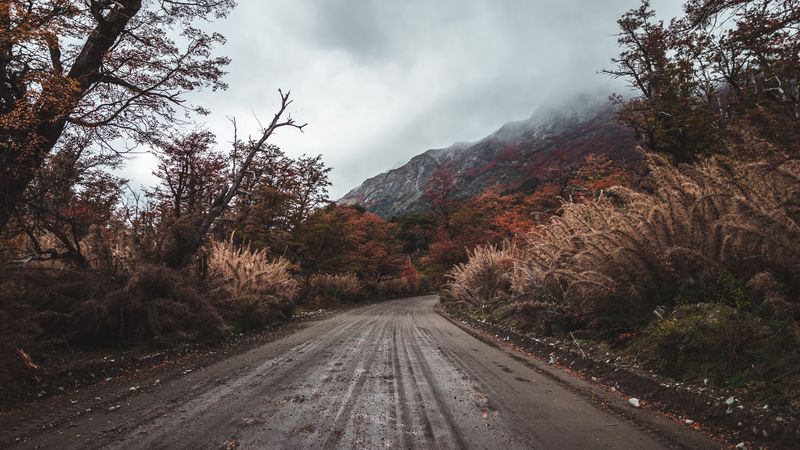 road, mountains, bushes, trees, nature, 4k