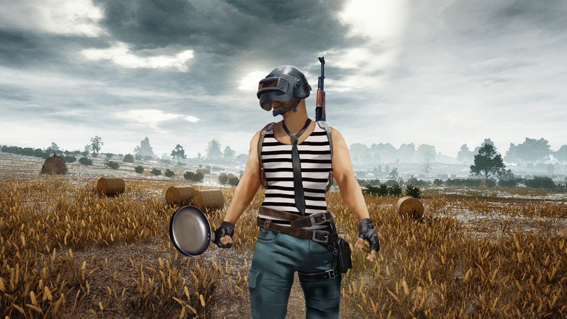 pubg, playerunknowns battlegrounds, behance, 2018 games, games, hd, 4k