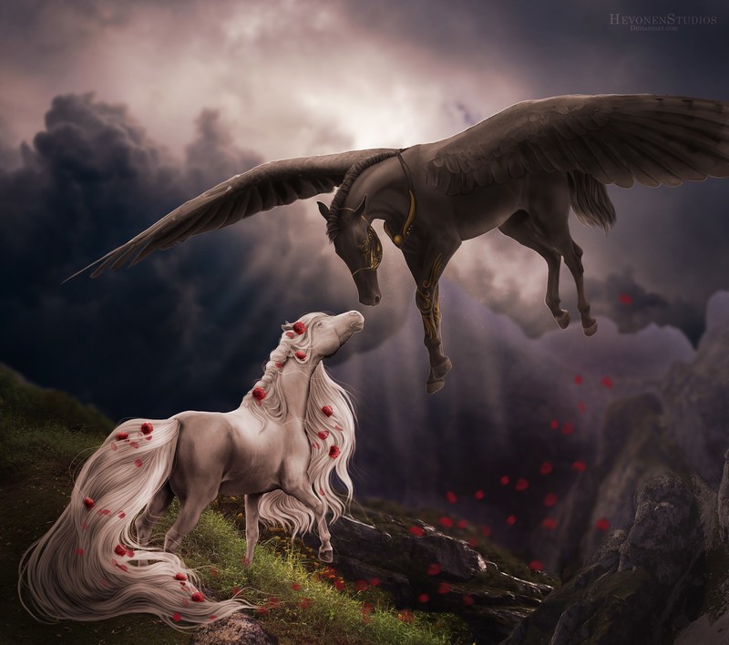 horse, animals, hd, artist, artwork, digital art, deviantart, love
