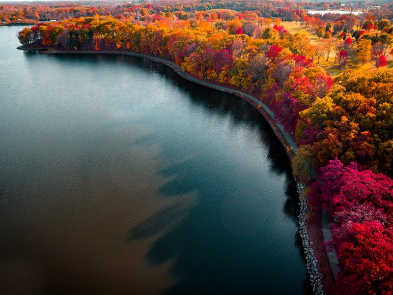 autumn, lake, nature, hd, 4k