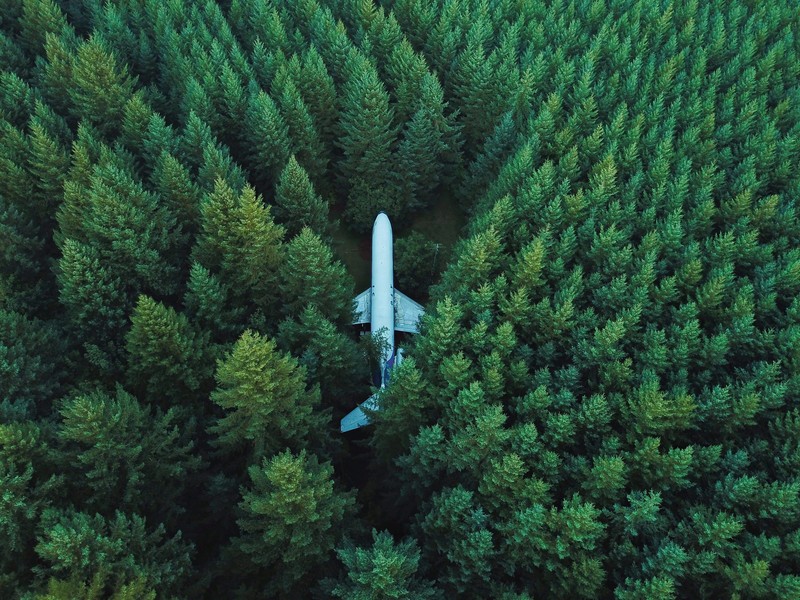 planes, nature, hd, forest, 4k