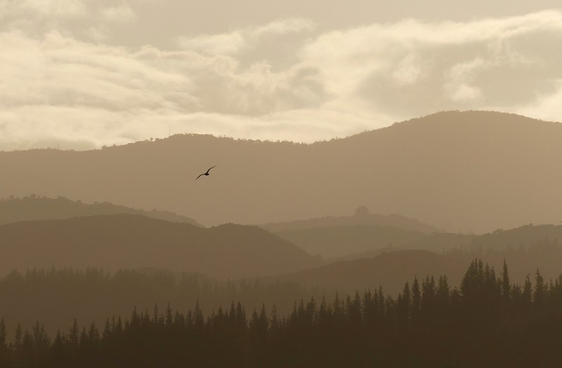 national park, nature, fog, hd, 4k