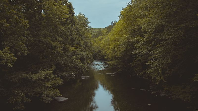 river, trees, water, nature, landscape, 4k