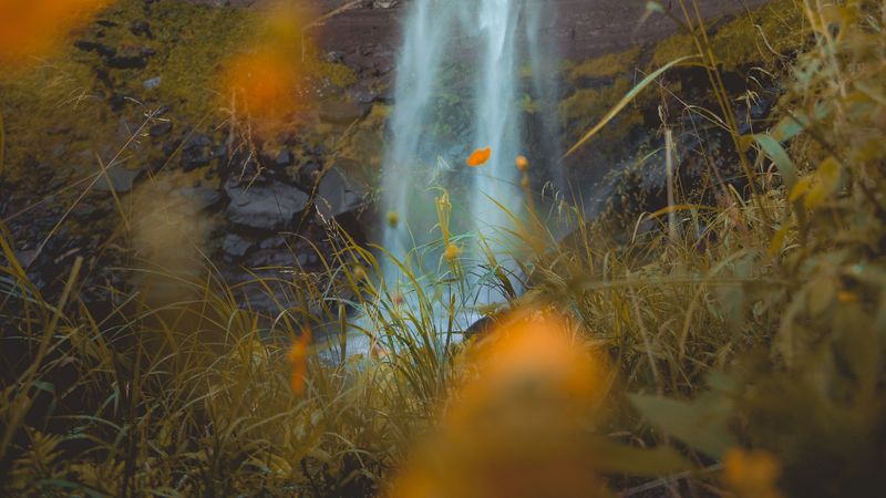 waterfall, rock, cliff, grass, flowers, nature, 4k