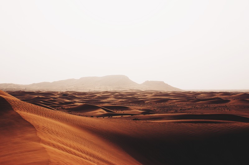 sandscape, desert, sand, nature, hd, 4k, dunes