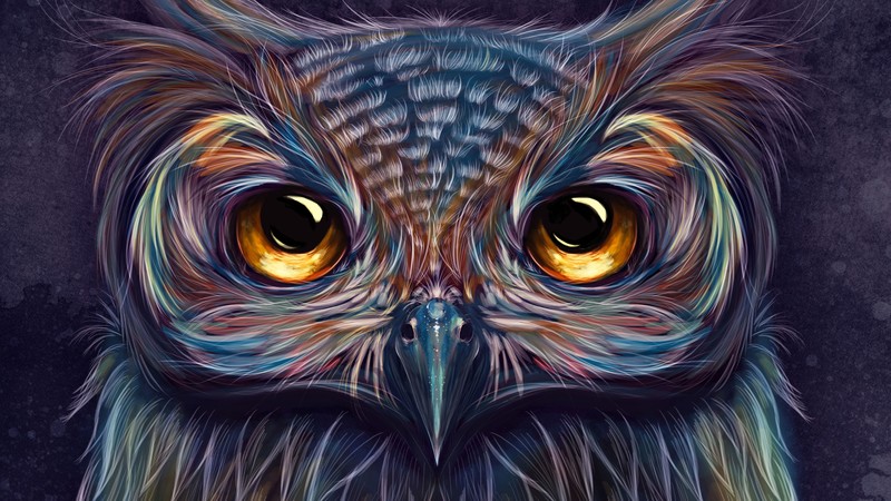 owl, colorful, artist, artwork, digital art, hd, 4k, 5k