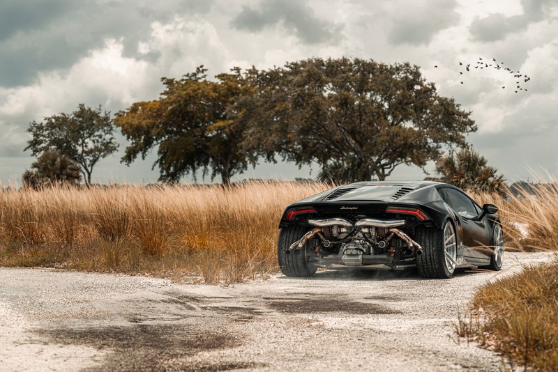 lamborghini huracan, lamborghini, cars, 8k, 4k, hd, 5k, artist, flickr