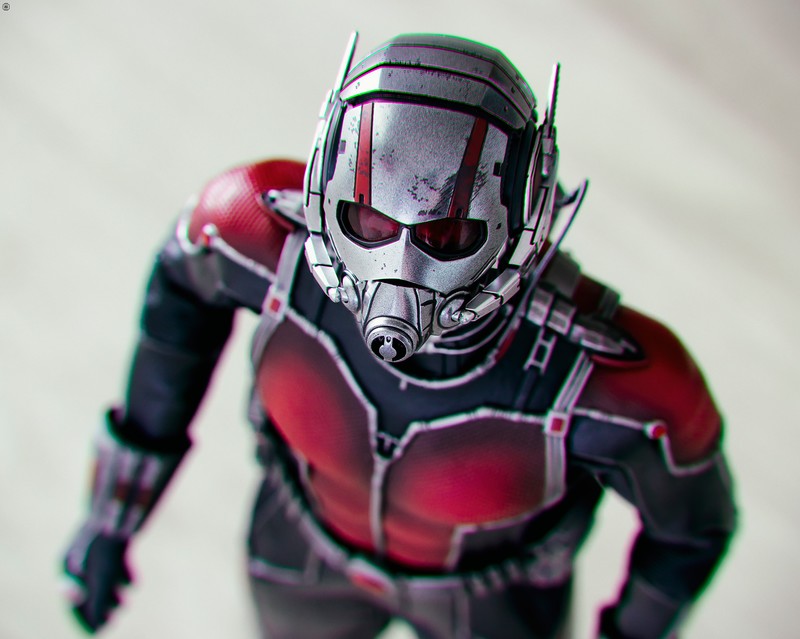 ant man, hd, flickr, 4k, 5k, artist