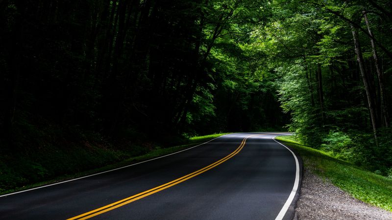 road, asphalt, forest, trees, turn, 4k
