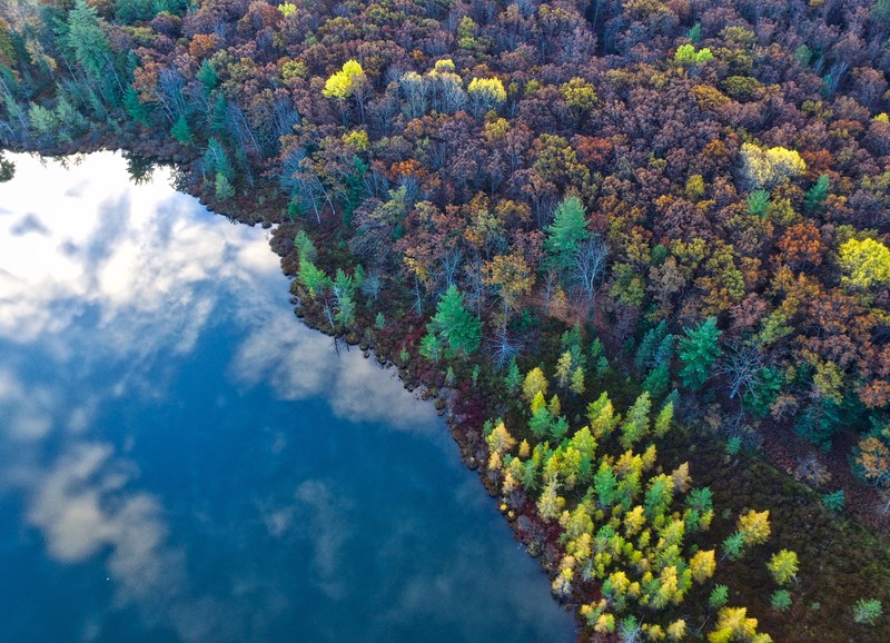 aerial, river, nature, hd, 4k, trees