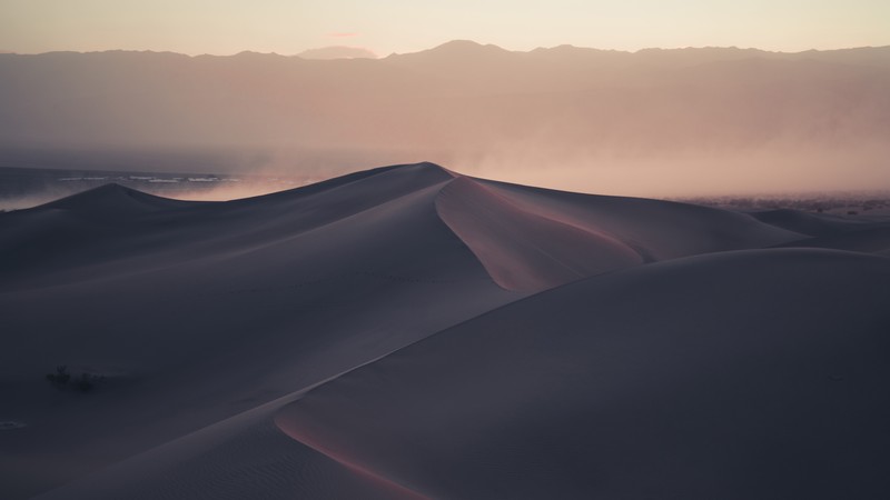 desert, dunes, nature, hd, 4k