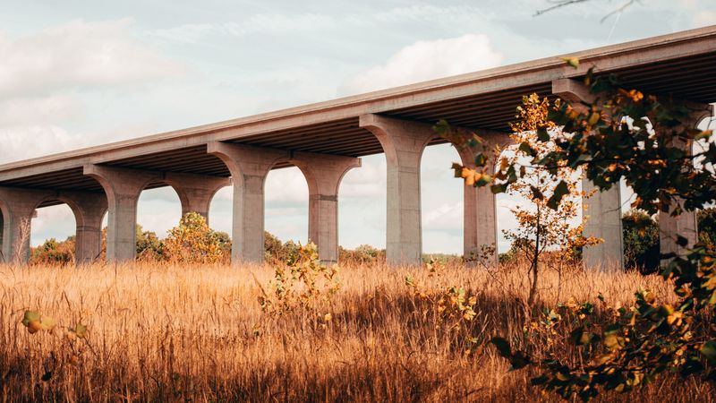 bridge, construction, architecture, grass, tree, 4k