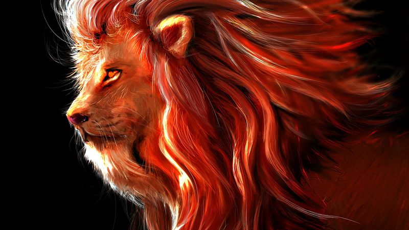 lion, big cat, art, predator, king of beasts, 4k