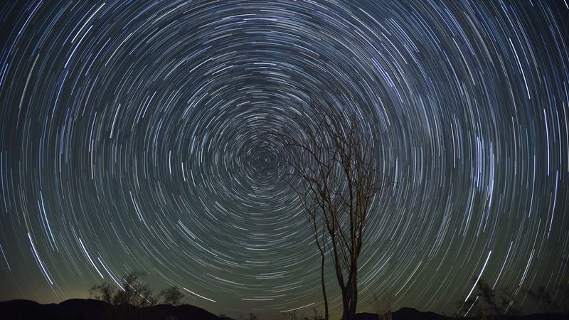 stars, starry sky, rotation, long exposure, tree, 4k