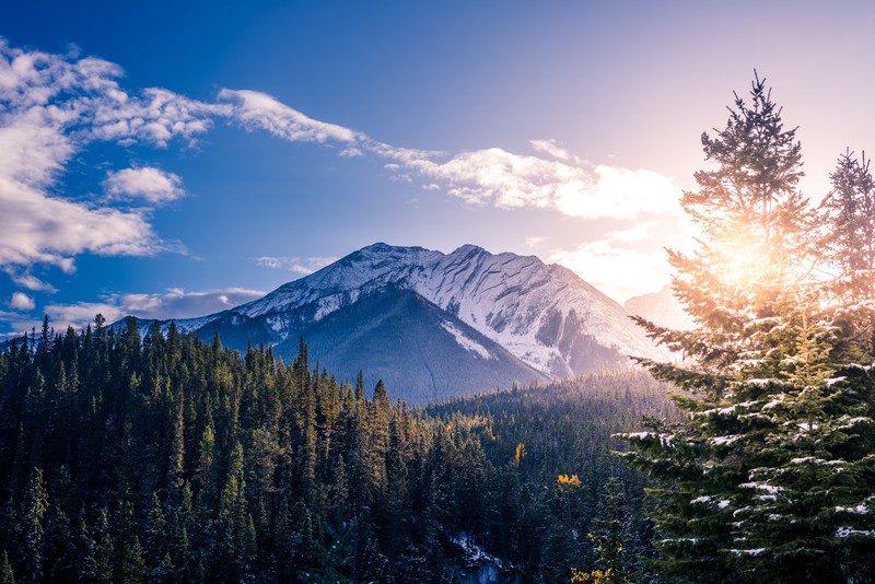 canada, landscape, nature, hd, 4k, 5k, trees, mountains, forest, scenery