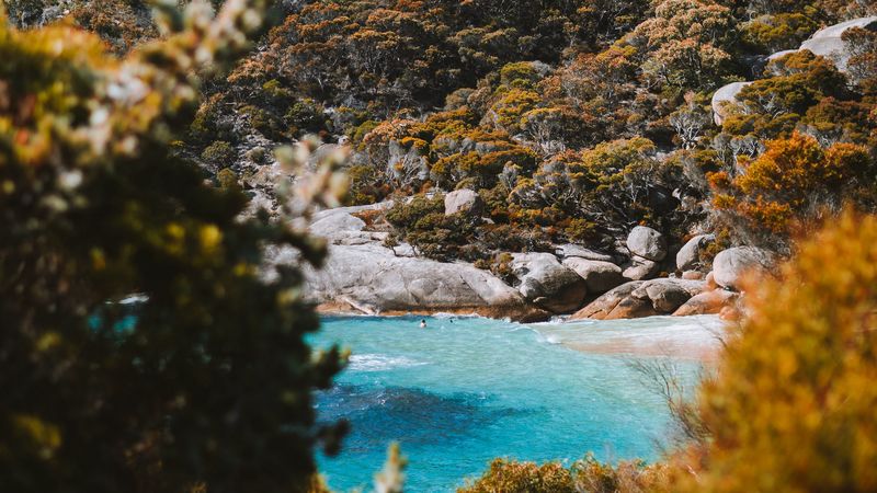 sea, coast, hill, stones, bushes, 4k
