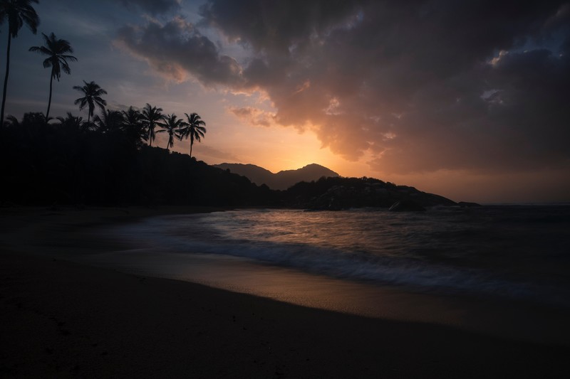 beach, sunset, nature, trees, hd, 4k, 5k