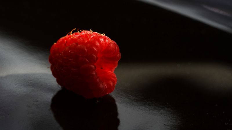 raspberry, berry, ripe, macro, shadow, 4k