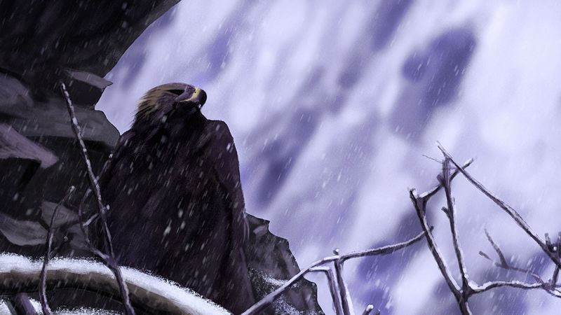 eagle, bird, art, snow, rock, 4k