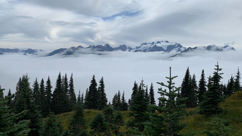 mountains, trees, fog, clouds, landscape, 4k