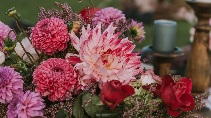 flowers, bouquet, composition, decoration, 4k