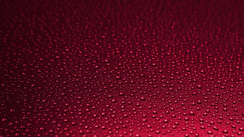drops, wet, surface, red, macro, 4k