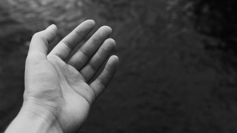hand, palm, bw, fingers, 4k