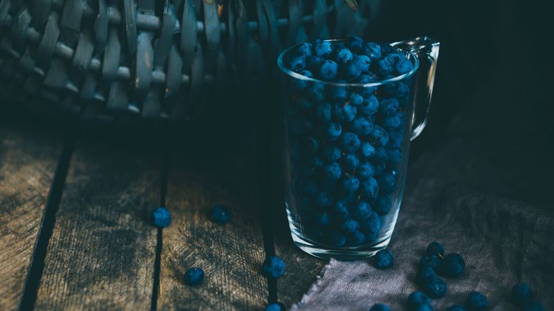 blueberries, berries, glass, basket, bush, 4k
