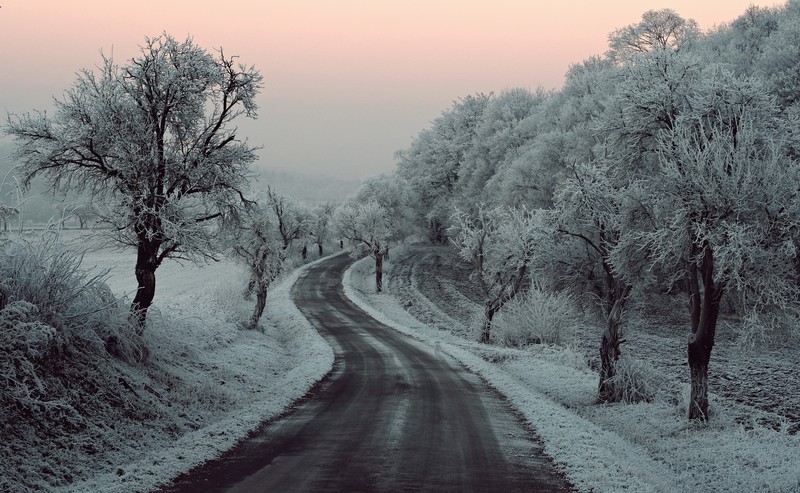 winter, snow, road, trees, hd, 4k, 5k, nature