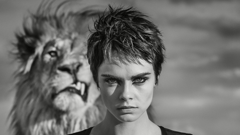 cara delevingne, celebrities, girls, photoshoot, hd, 4k, 5k, monochrome, black and white