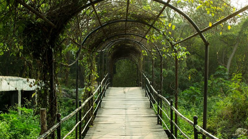 arch, tunnel, garden, passage, 4k
