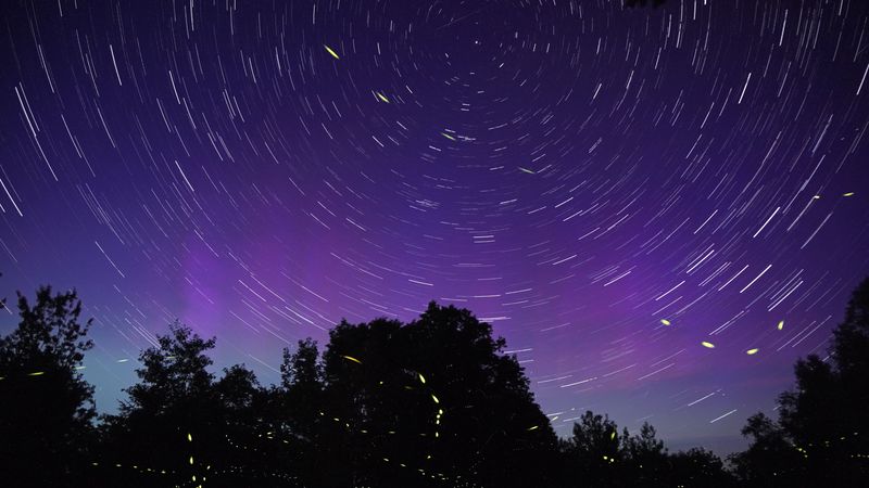 starry sky, night, blur, motion, long exposure, 4k