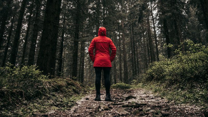 person, forest, loneliness, trees, path, 4k