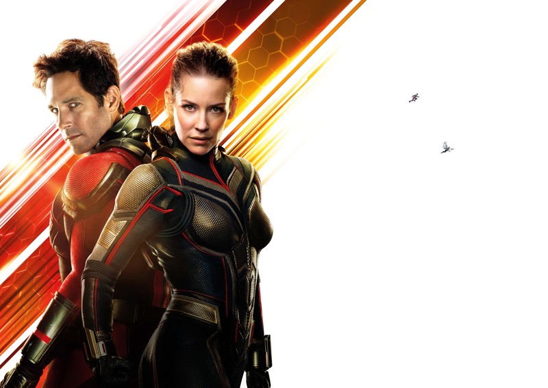 ant man and the wasp, ant man, hd, 4k, 5k, 2018 movies, movies, 8k, 10k, 12k