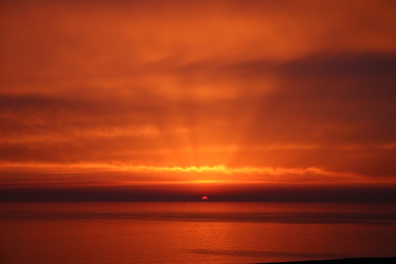 sunset, beach, sky, nature, hd