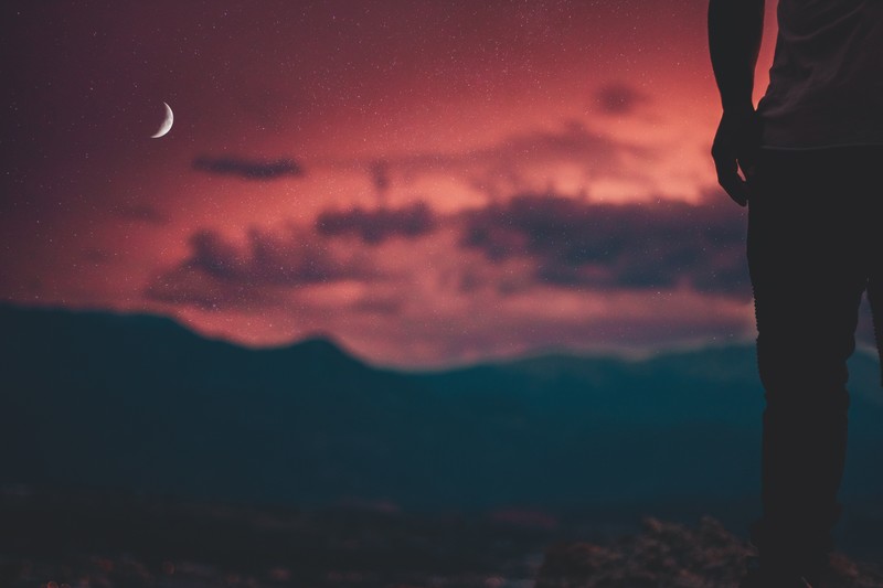 silhouette, alone, photography, hd, 4k, sky, nature, moon