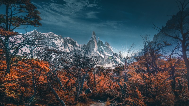 mountains, snow, landscape, trees, hd, 4k, 5k, nature