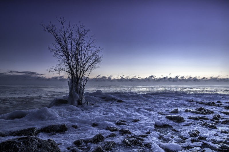 frozen, winter, snow, landscape, nature, hd, 4k, 5k